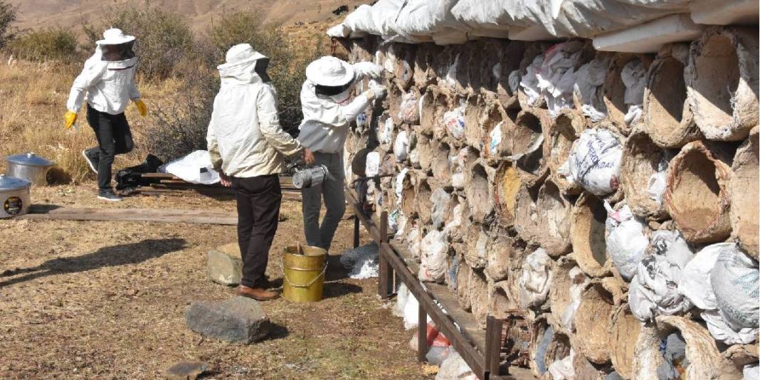 3 kere dünya birinciliği aldı! Meşhur balda hasat devam ediyor: Kilosu 3.000 TL’den yoğun talep görüyor 2